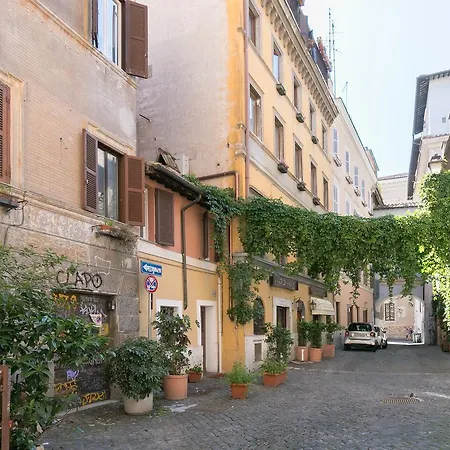 Apartamento Xystum *